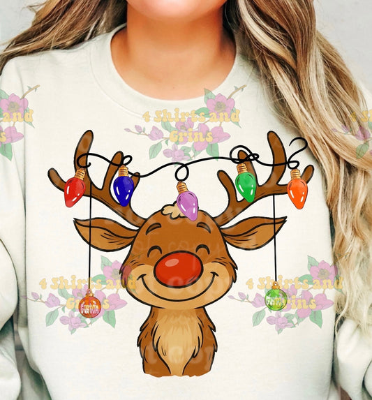 Custom Reindeer Lights Family Sweatshirt